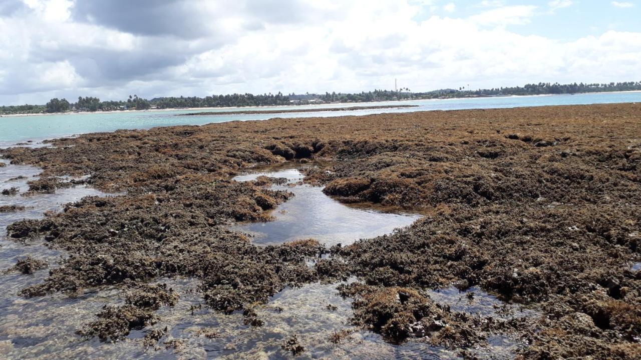 Parque Dos Coqueiros- Bangalos E * Maragogi